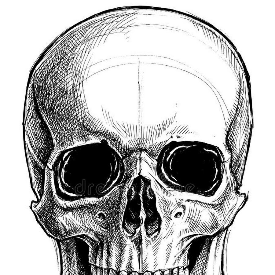 Голова скелета рисунок